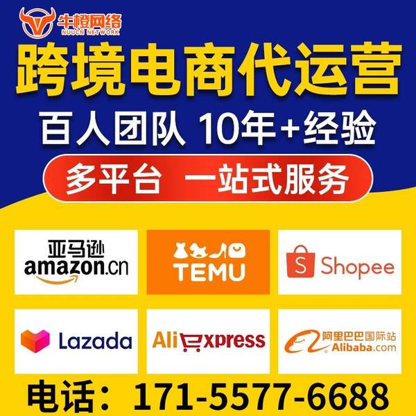 阳泉电商代运营