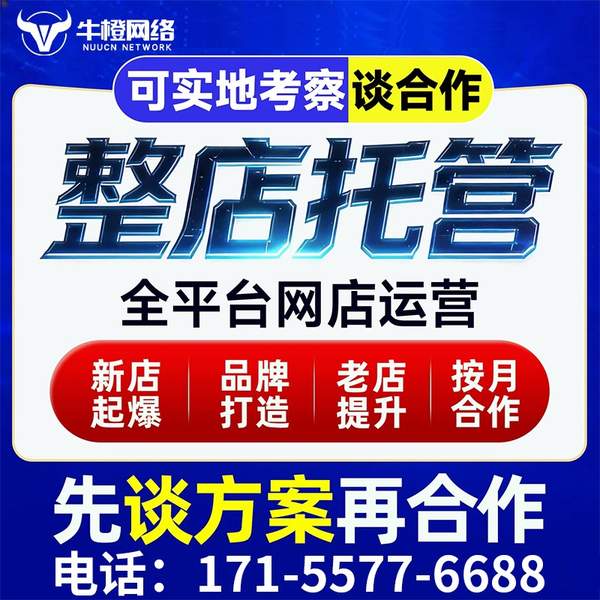 阳泉电商代运营