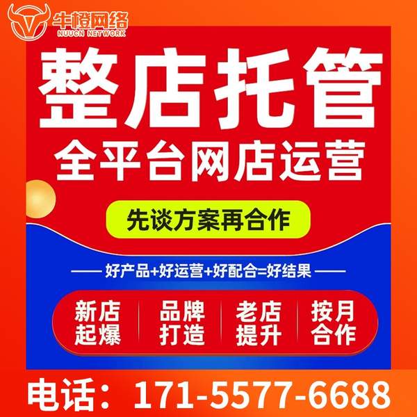 阳泉电商代运营