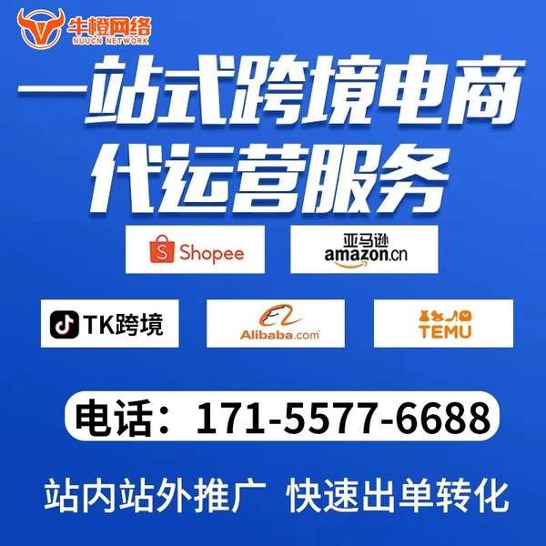 阳泉电商代运营